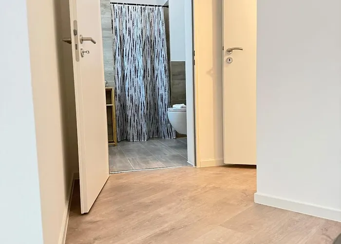 Perfect For Fans And Family *